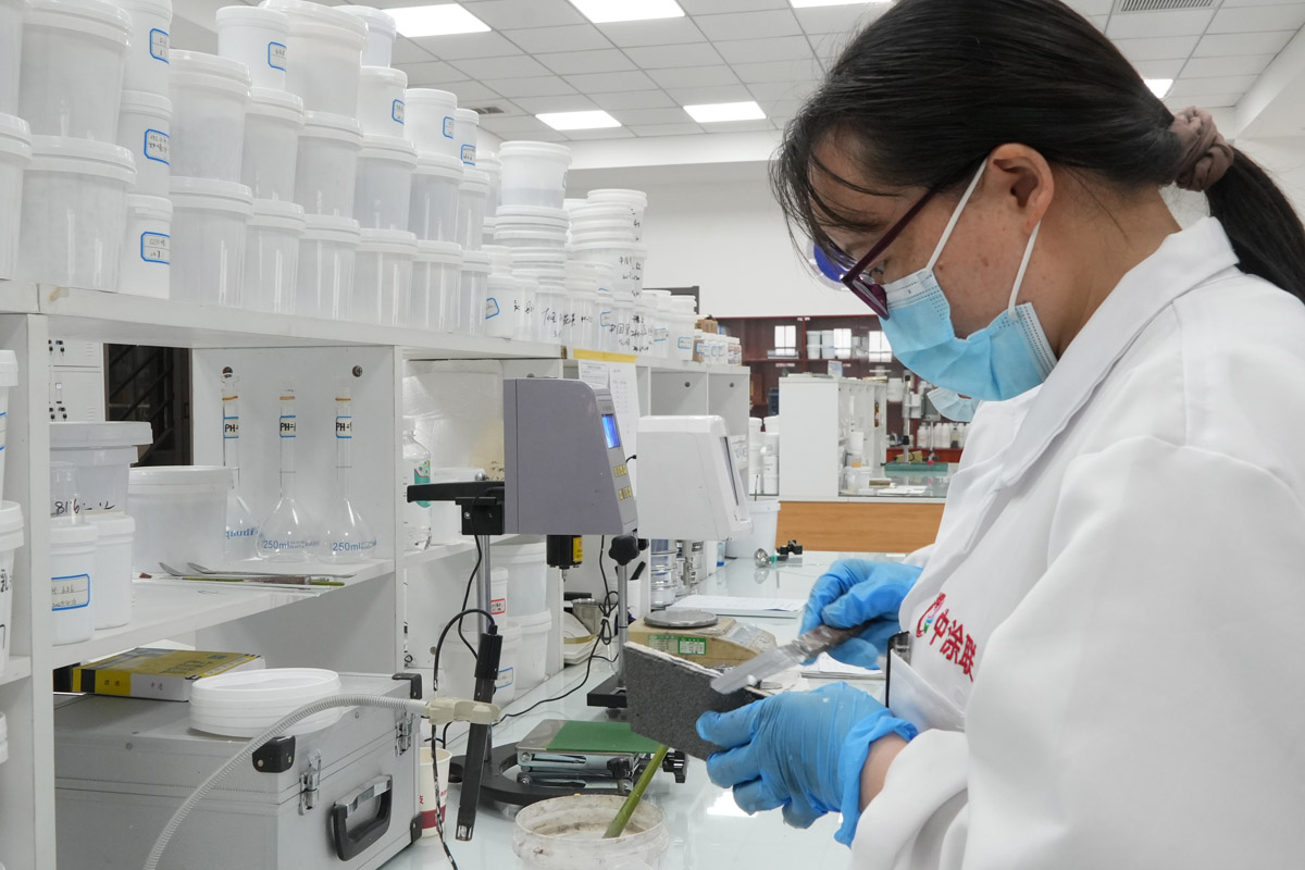 Desenvolvimento aplicadov